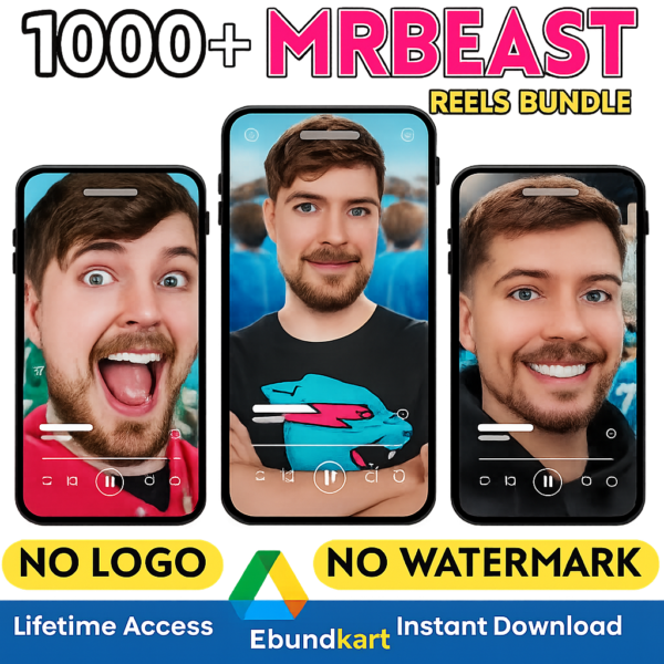 Mr Beast reels bundle