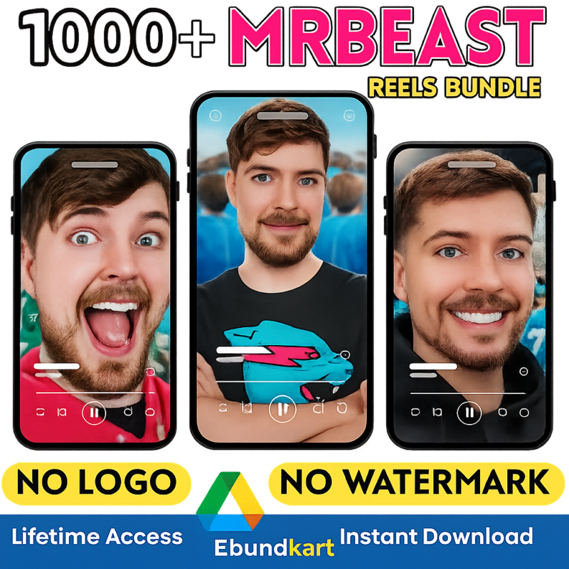 Mr Beast reels bundle